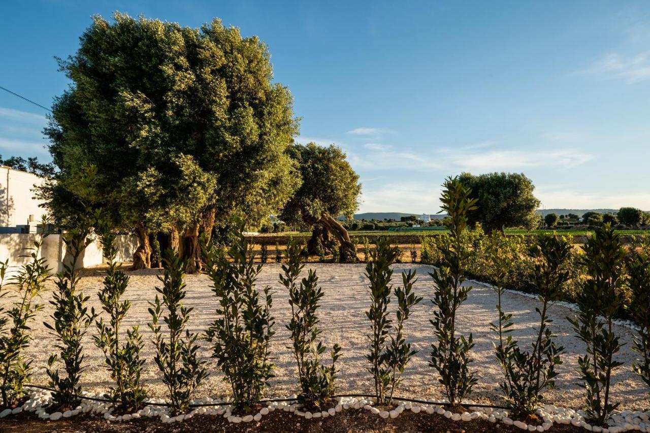 Il Pergolato Sul Mare Villa Монополи Екстериор снимка